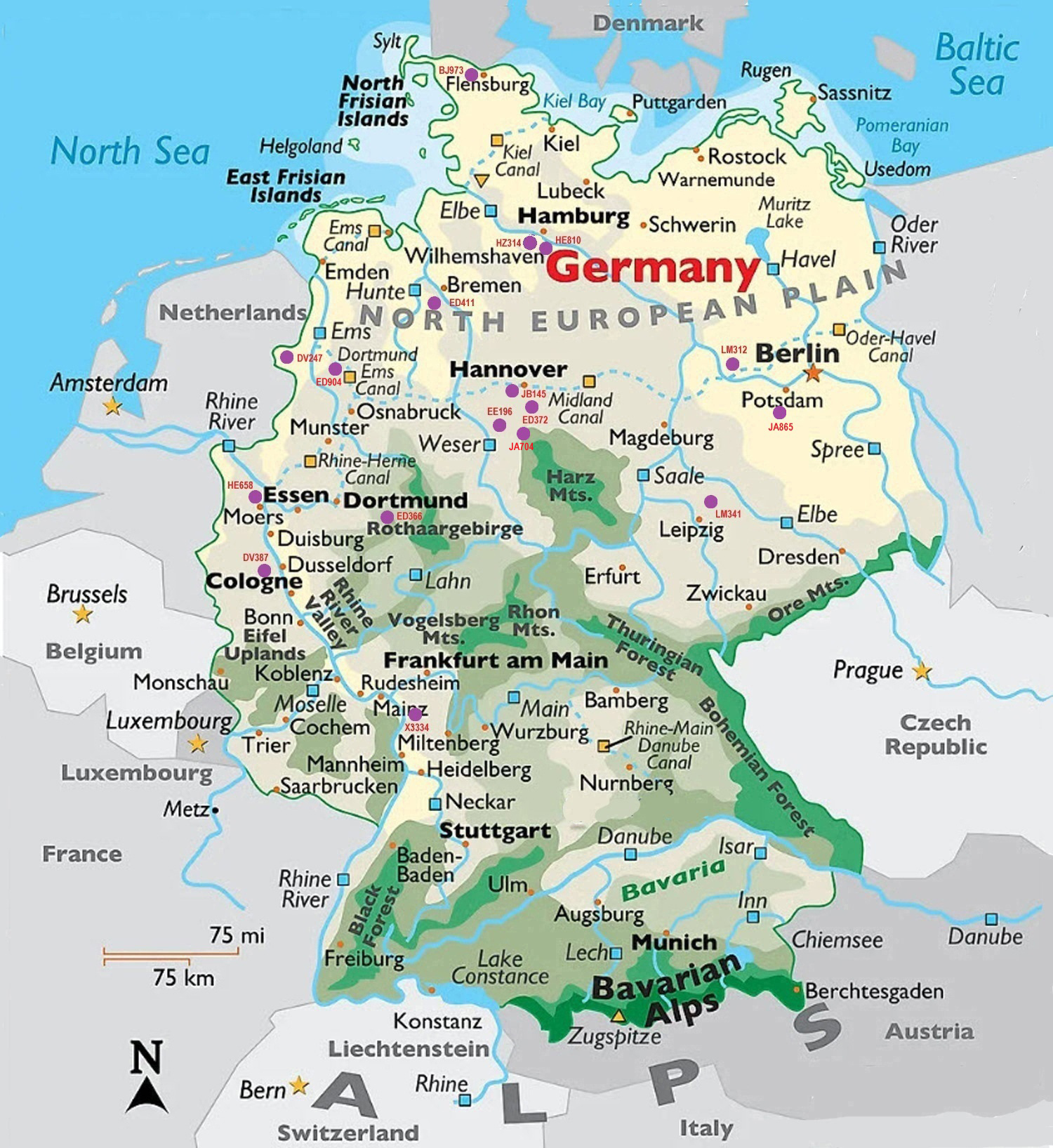 166_losses_Germany_1943