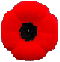 Poppy